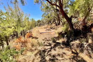 38281 Western Hills Dr, Anza, CA 92539 - Photo 42