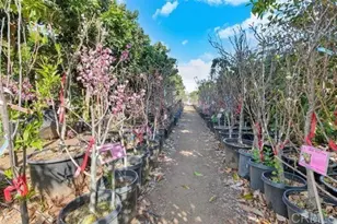 2081 Elevado Rd, Vista, CA 92084 - Photo 52