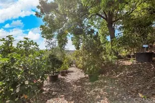 2081 Elevado Rd, Vista, CA 92084 - Photo 60