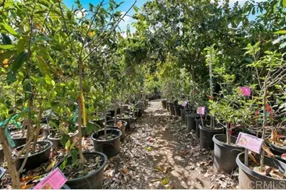 2081 Elevado Road, Vista, CA 92084 - Photo 56