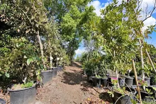 2081 Elevado Rd, Vista, CA 92084 - Photo 44