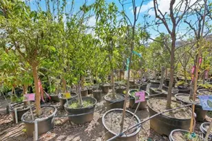 2081 Elevado Rd, Vista, CA 92084 - Photo 48