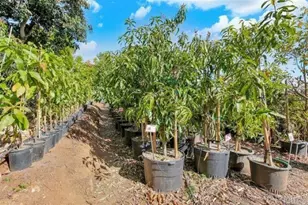 2081 Elevado Rd, Vista, CA 92084 - Photo 46