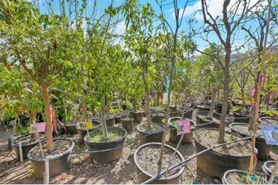 2081 Elevado Road, Vista, CA 92084 - Photo 50