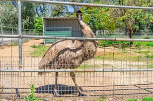 1023 Olive Ave, Ramona, CA 92065 - Photo 34