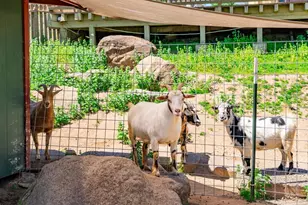 1023 Olive Ave, Ramona, CA 92065 - Photo 36