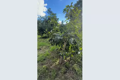 3160 Slivkoff Drive, Escondido, CA 92027 - Photo 10