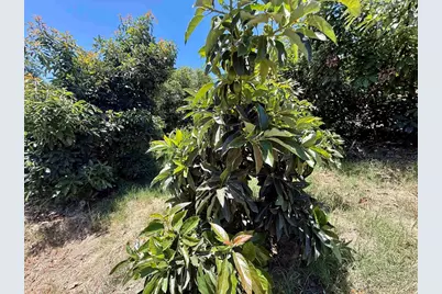 39182 Daily Road, Fallbrook, CA 92028 - Photo 36