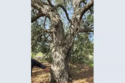 4800 Blk 5th Street, Fallbrook, CA 92028 - Photo 16