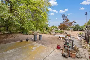 334 Date Ave, Carlsbad, CA 92008 - Photo 8