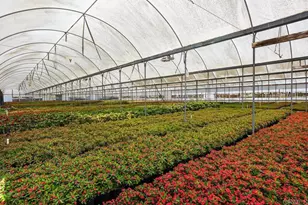 787 Cassou Rd, San Marcos, CA 92069 - Photo 26