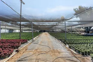 787 Cassou Rd, San Marcos, CA 92069 - Photo 24