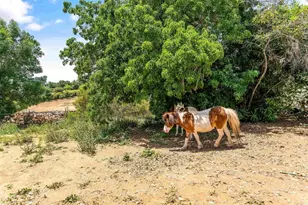 2163 Gracey Ln, Fallbrook, CA 92028 - Photo 38