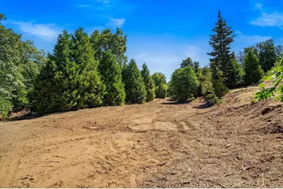 22520 Greenfield, Palomar Mountain, CA 92060 - Photo 20