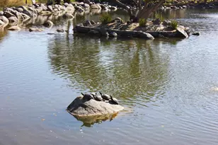 240 Havenview Ln, Oceanside, CA 92056 - Photo 54