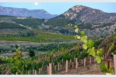 3976 Lorita Lane, Fallbrook, CA 92028 - Photo 24