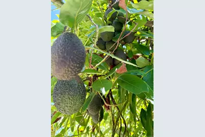 3135 E Valley Parkway, Escondido, CA 92027 - Photo 68