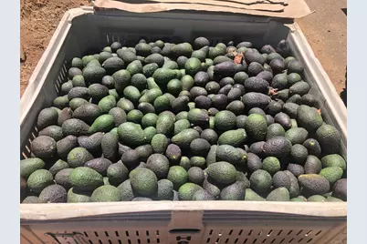 3135 E Valley Parkway, Escondido, CA 92027 - Photo 70