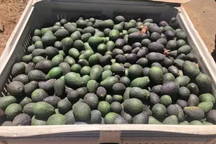 3135 E Valley Pkwy, Escondido, CA 92027 - Photo 70