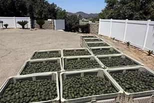 2125 Puerto Del Mundo, Fallbrook, CA 92028 - Photo 52