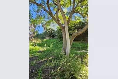 9802 Lyncarol Drive, La Mesa, CA 91941 - Photo 6