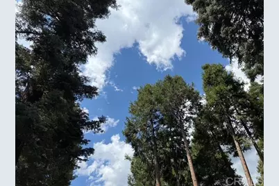 32811 Birch Hill Road, Palomar Mountain, CA 92060 - Photo 40