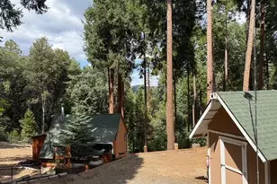 32811 Birch Hill Rd, Palomar Mountain, CA 92060 - Photo 44