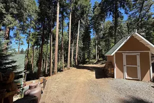 32811 Birch Hill Rd, Palomar Mountain, CA 92060 - Photo 42