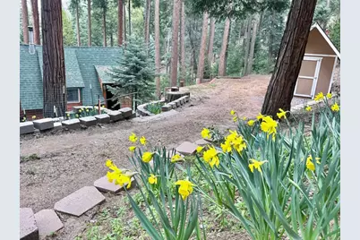 32811 Birch Hill Road, Palomar Mountain, CA 92060 - Photo 2