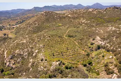 214 Creelman Lane, Ramona, CA 92065 - Photo 6