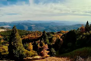 32771 Birch Hill Rd, Palomar Mountain, CA 92060 - Photo 34