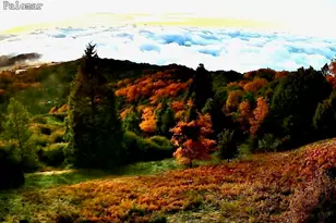 32771 Birch Hill Rd, Palomar Mountain, CA 92060 - Photo 40