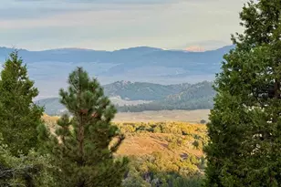 32771 Birch Hill Rd, Palomar Mountain, CA 92060 - Photo 4
