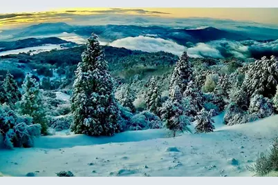 32771 Birch Hill Road, Palomar Mountain, CA 92060 - Photo 20