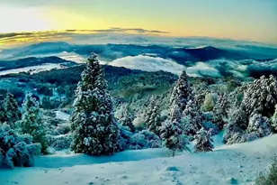 32771 Birch Hill Rd, Palomar Mountain, CA 92060 - Photo 20