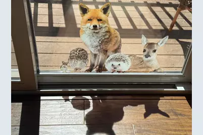 32771 Birch Hill Road, Palomar Mountain, CA 92060 - Photo 18