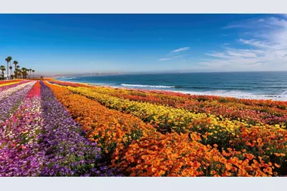 3190 Falcon Drive, Carlsbad, CA 92008 - Photo 62