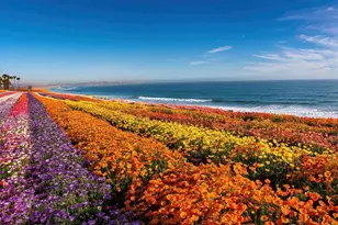 3190 Falcon Dr, Carlsbad, CA 92008 - Photo 62