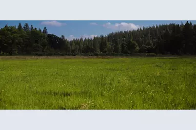 29276 Bullskin Ridge Rd, Oak Run, CA 96069 - Photo 8