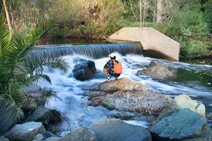 3226 Violet, Encinitas, CA 92024 - Photo 52