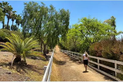 3226 Violet, Encinitas, CA 92024 - Photo 52