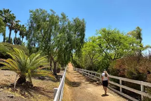 3226 Violet, Encinitas, CA 92024 - Photo 52