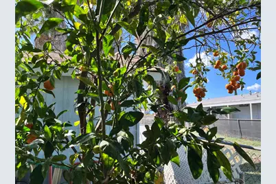 1537 H Street #35, Ramona, CA 92065 - Photo 14