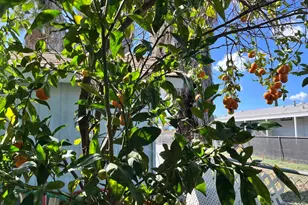 1537 H Street, Ramona, CA 92065 - Photo 14