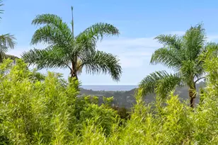 3401 Adams Run, Encinitas, CA 92024 - Photo 6