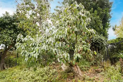 2719 Via Del Robles, Fallbrook, CA 92028 - Photo 48