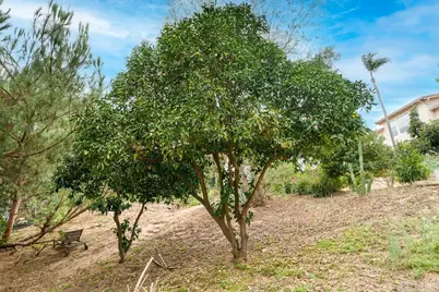 2719 Via Del Robles, Fallbrook, CA 92028 - Photo 46