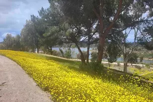 5712 Baltimore Dr, La Mesa, CA 91942 - Photo 42