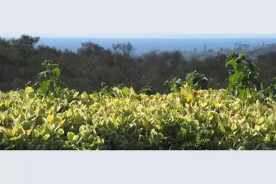 4125 Arcadia Way, Oceanside, CA 92056 - Photo 2