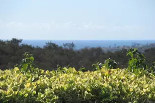 4125 Arcadia Way, Oceanside, CA 92056 - Photo 2